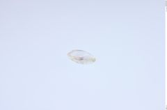 Foto von Diamant (NHMW-MIN-Ab3055)